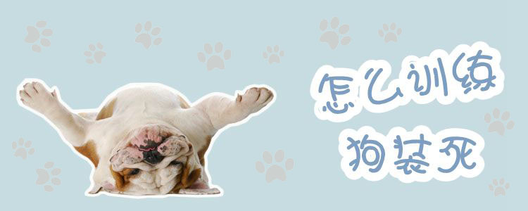 怎么訓練狗裝死