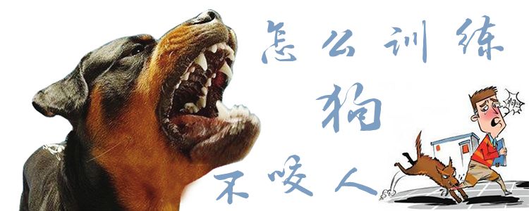 怎么訓(xùn)練狗狗不咬人1