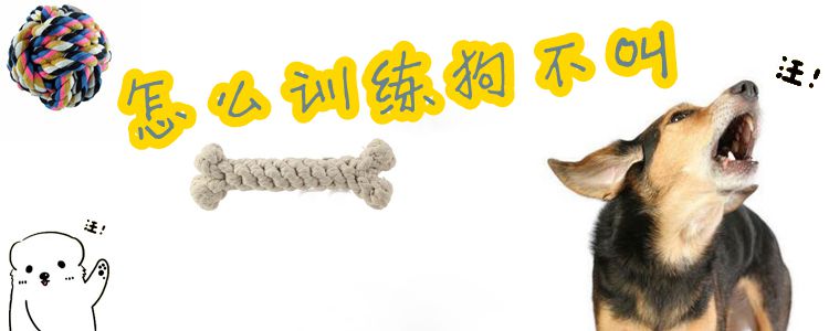 怎么訓(xùn)練狗狗不叫1