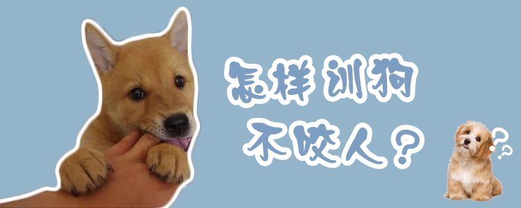 怎樣訓狗不咬人