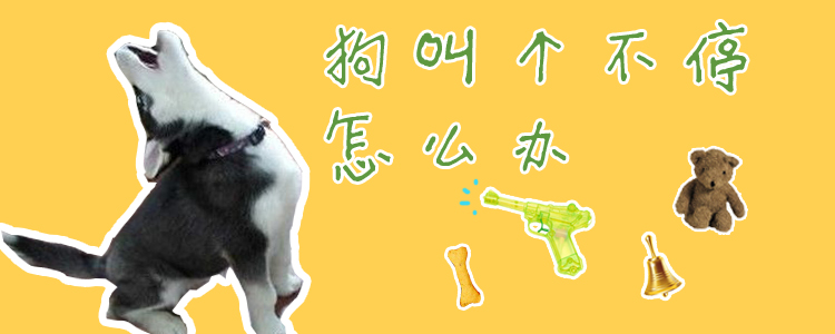 狗叫個(gè)不停怎么辦