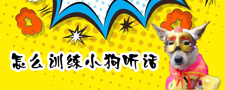 怎么訓練小狗聽話