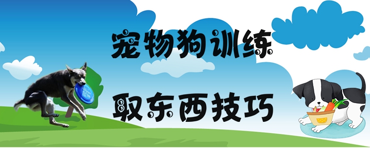 寵物狗訓(xùn)練取東西技巧有哪些