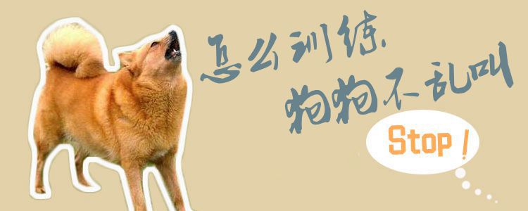 怎么訓練狗狗不亂叫1