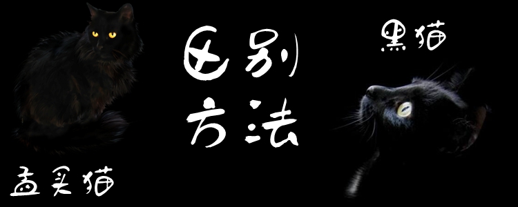 孟買(mǎi)貓和黑貓的區(qū)別方法