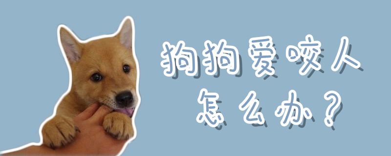 狗狗愛(ài)咬人怎么辦