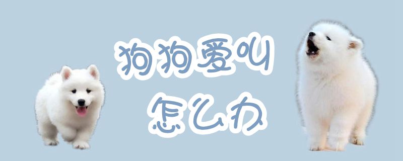 狗狗愛叫怎么辦