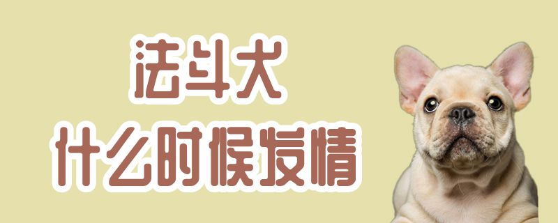 法斗犬什么時(shí)候發(fā)情