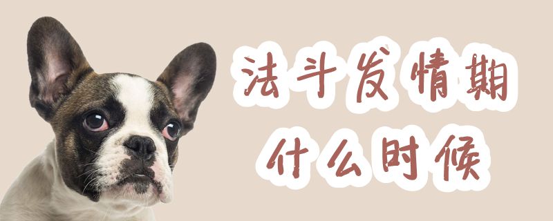 法斗發(fā)情期什么時候