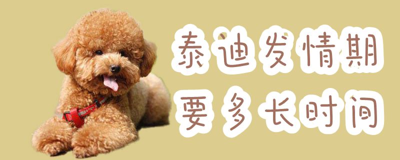 泰迪發情期要多長時間