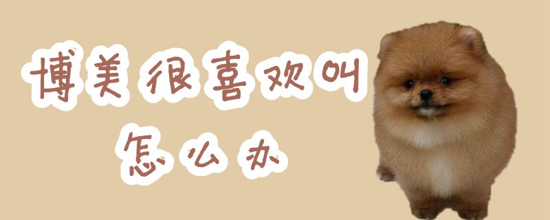 博美很喜歡叫怎么辦