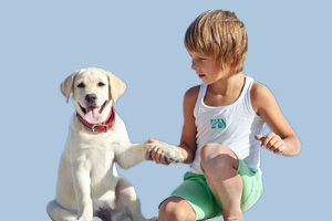 喂養寵物狗要注意什么