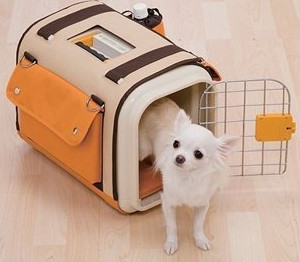 國內(nèi)寵物托運