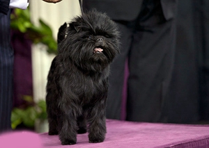 艾芬品日常護(hù)理要注意什么 艾芬品護(hù)理注意事項(xiàng)