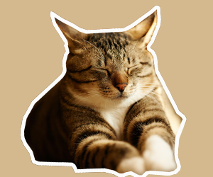 貓眼睛發(fā)炎怎么辦