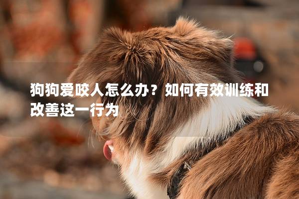 狗狗愛咬人怎么辦？如何有效訓練和改善這一行為