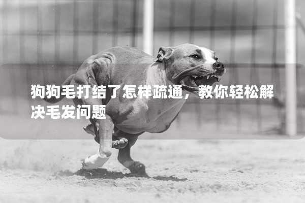 狗狗毛打結了怎樣疏通，教你輕松解決毛發問題