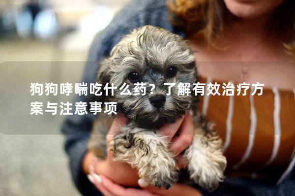 狗狗哮喘吃什么藥？了解有效治療方案與注意事項