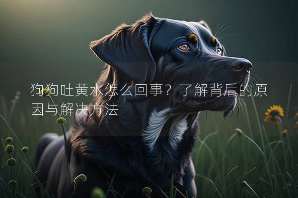 狗狗吐黃水怎么回事？了解背后的原因與解決方法