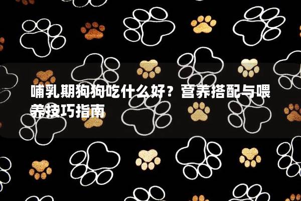 哺乳期狗狗吃什么好?營養(yǎng)搭配與喂養(yǎng)技巧指南 哺乳期狗狗吃什么好?營養(yǎng)搭配與喂養(yǎng)技巧指南