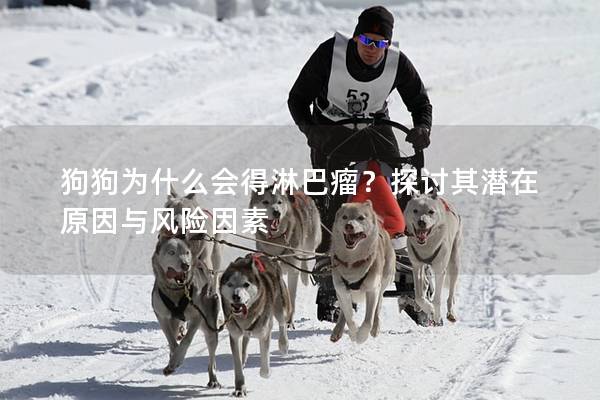 狗狗為什么會得淋巴瘤？探討其潛在原因與風險因素