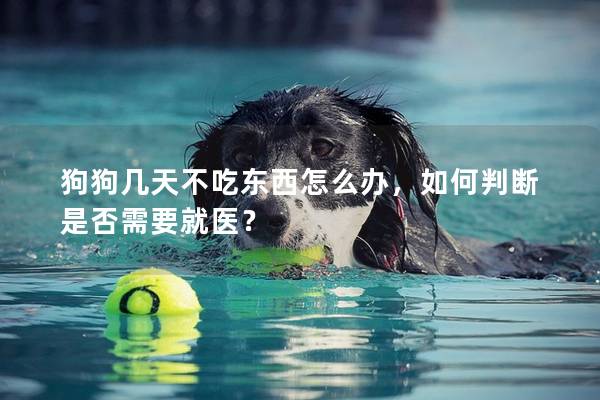 狗狗幾天不吃東西怎么辦，如何判斷是否需要就醫？