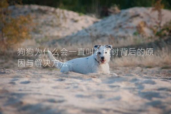 狗狗為什么會一直叫？探討背后的原因與解決方法