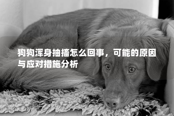 狗狗渾身抽搐怎么回事，可能的原因與應(yīng)對(duì)措施分析