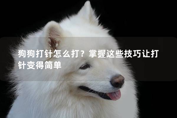 狗狗打針怎么打？掌握這些技巧讓打針變得簡單