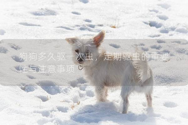 狗狗多久驅(qū)一次蟲，定期驅(qū)蟲的重要性與注意事項(xiàng)