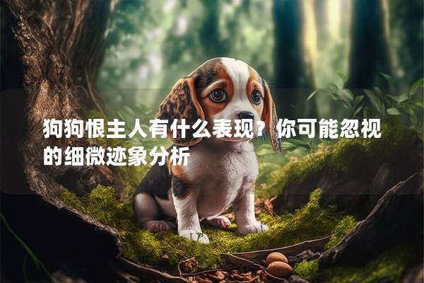 狗狗恨主人有什么表現?你可能忽視的細微跡象分析 狗狗恨主人有什么表現?你可能忽視的細微跡象分析