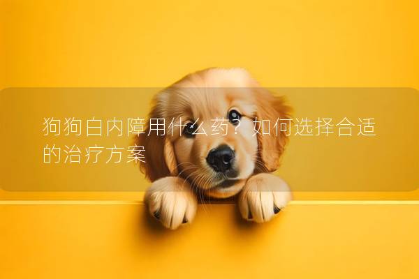 狗狗白內(nèi)障用什么藥？如何選擇合適的治療方案