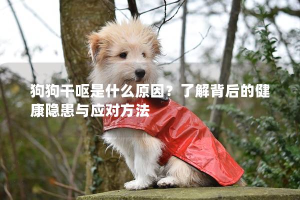 狗狗干嘔是什么原因？了解背后的健康隱患與應(yīng)對方法