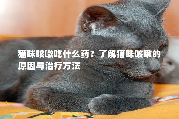 貓咪咳嗽吃什么藥?了解貓咪咳嗽的原因與治療方法 貓咪咳嗽吃什么藥?了解貓咪咳嗽的原因與治療方法