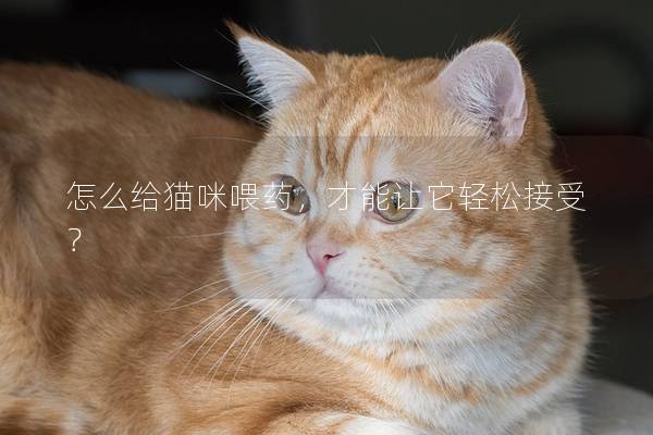 怎么給貓咪喂藥，才能讓它輕松接受？