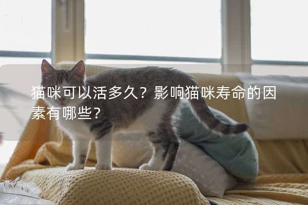 貓咪可以活多久？影響貓咪壽命的因素有哪些？
