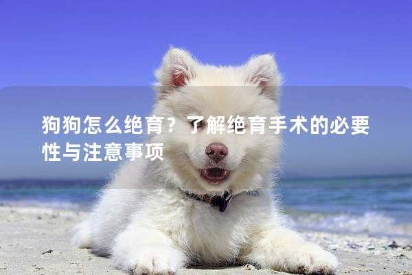 狗狗怎么絕育？了解絕育手術的必要性與注意事項