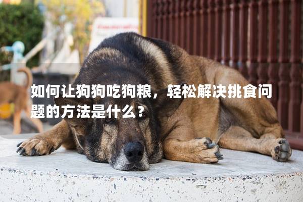 如何讓狗狗吃狗糧，輕松解決挑食問題的方法是什么？