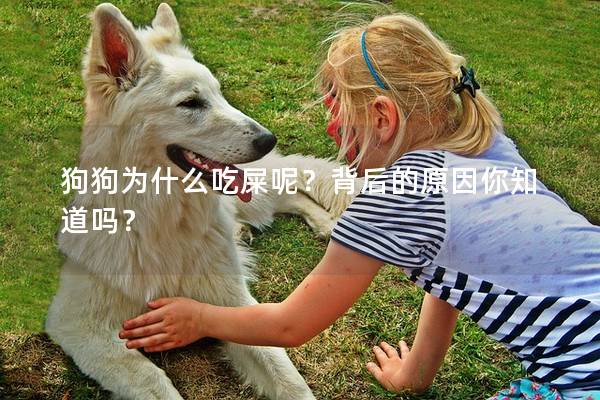 狗狗為什么吃屎呢？背后的原因你知道嗎？