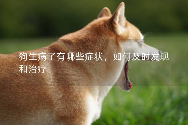 狗生病了有哪些癥狀，如何及時發現和治療