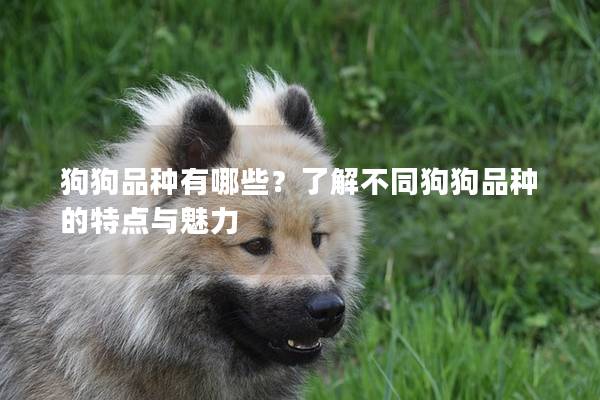狗狗品種有哪些？了解不同狗狗品種的特點與魅力