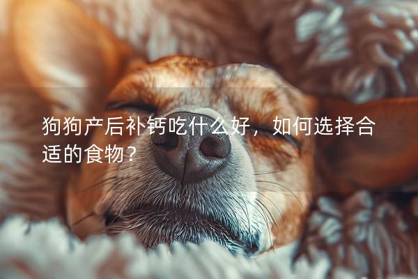 狗狗產(chǎn)后補(bǔ)鈣吃什么好，如何選擇合適的食物？