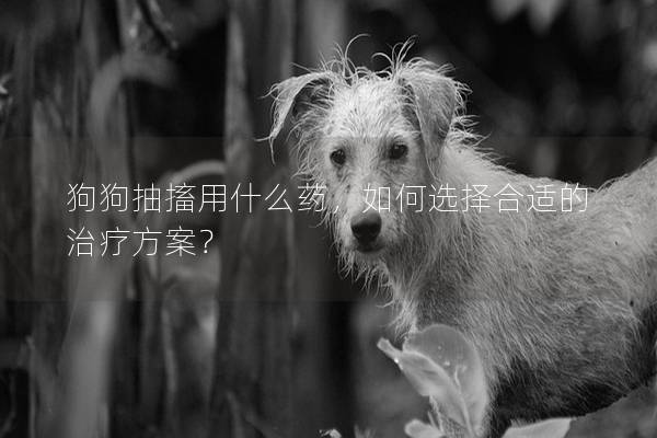 狗狗抽搐用什么藥,如何選擇合適的治療方案? 狗狗抽搐用什么藥,如何選擇合適的治療方案?