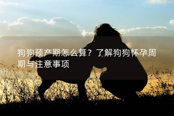 狗狗預產期怎么算？了解狗狗懷孕周期與注意事項