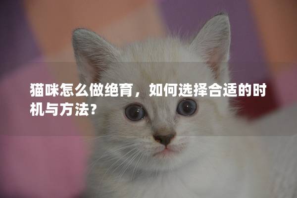 貓咪怎么做絕育，如何選擇合適的時機與方法？