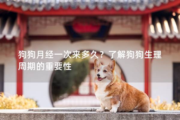 狗狗月經(jīng)一次來(lái)多久？了解狗狗生理周期的重要性