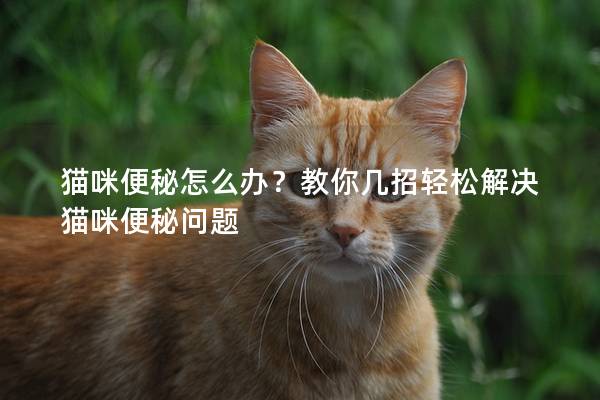 貓咪便秘怎么辦？教你幾招輕松解決貓咪便秘問題