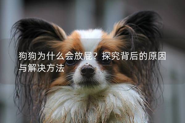 狗狗為什么會放屁？探究背后的原因與解決方法