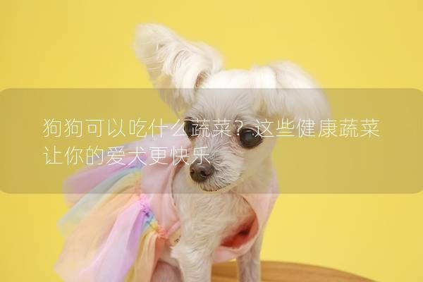 狗狗可以吃什么蔬菜？這些健康蔬菜讓你的愛犬更快樂