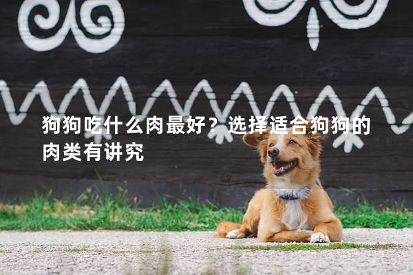 狗狗吃什么肉最好？選擇適合狗狗的肉類有講究